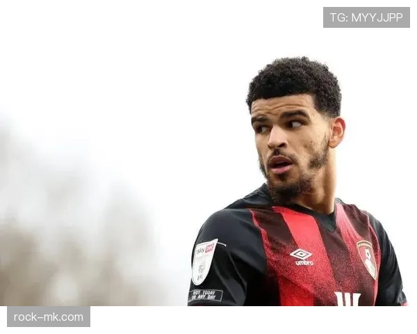 英超休斯 英超休斯